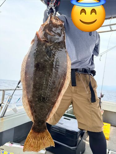 ヒラメの釣果