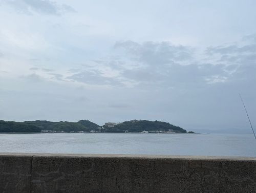 キスの釣果