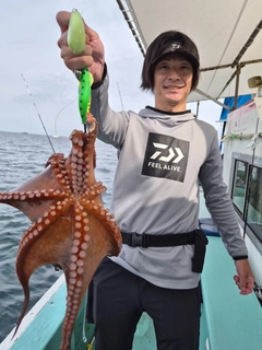 タコの釣果