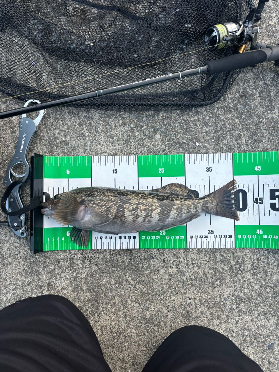 YAMAGA Blanks アーリー・フォーロック 86MHの最安値・インプレ・釣果