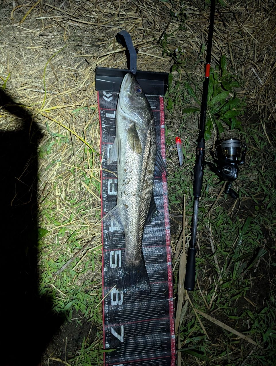 DAIWA 23エアリティ LT5000D-CXHの最安値・インプレ・釣果 | 本音の