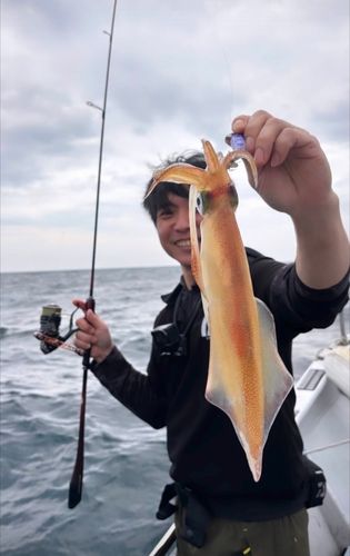 シロイカの釣果