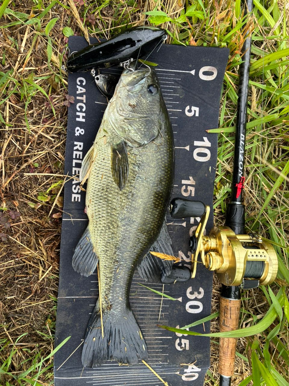 DAIWA 21ブレイゾン C611H-2・SBの最安値・インプレ・釣果 | 本音の