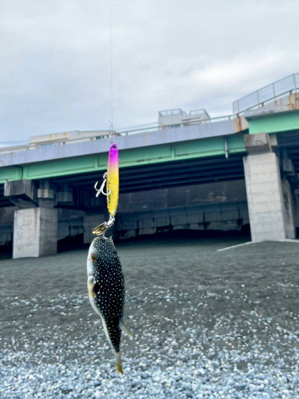 DAIWA 21シーバスハンター X 100M・Rの最安値・インプレ・釣果 | 本音