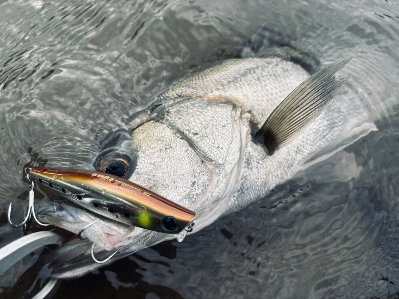 SHIMANO 23ディアルーナ S96MLの最安値・インプレ・釣果 | 本音の