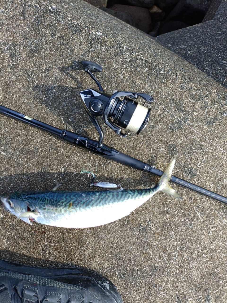 SHIMANO 22エクスセンス ∞ (インフィニティ) S100Mの最安値・インプレ