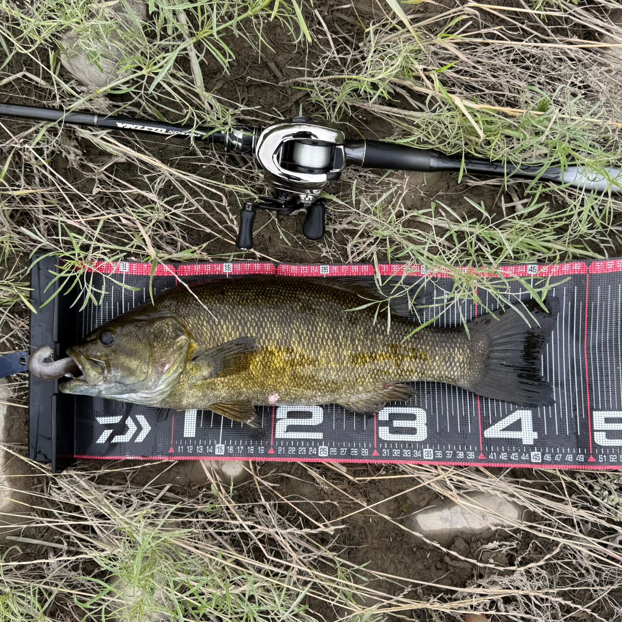 SHIMANO 20ポイズンアルティマ 5ピース 174MH+-5の最安値・インプレ
