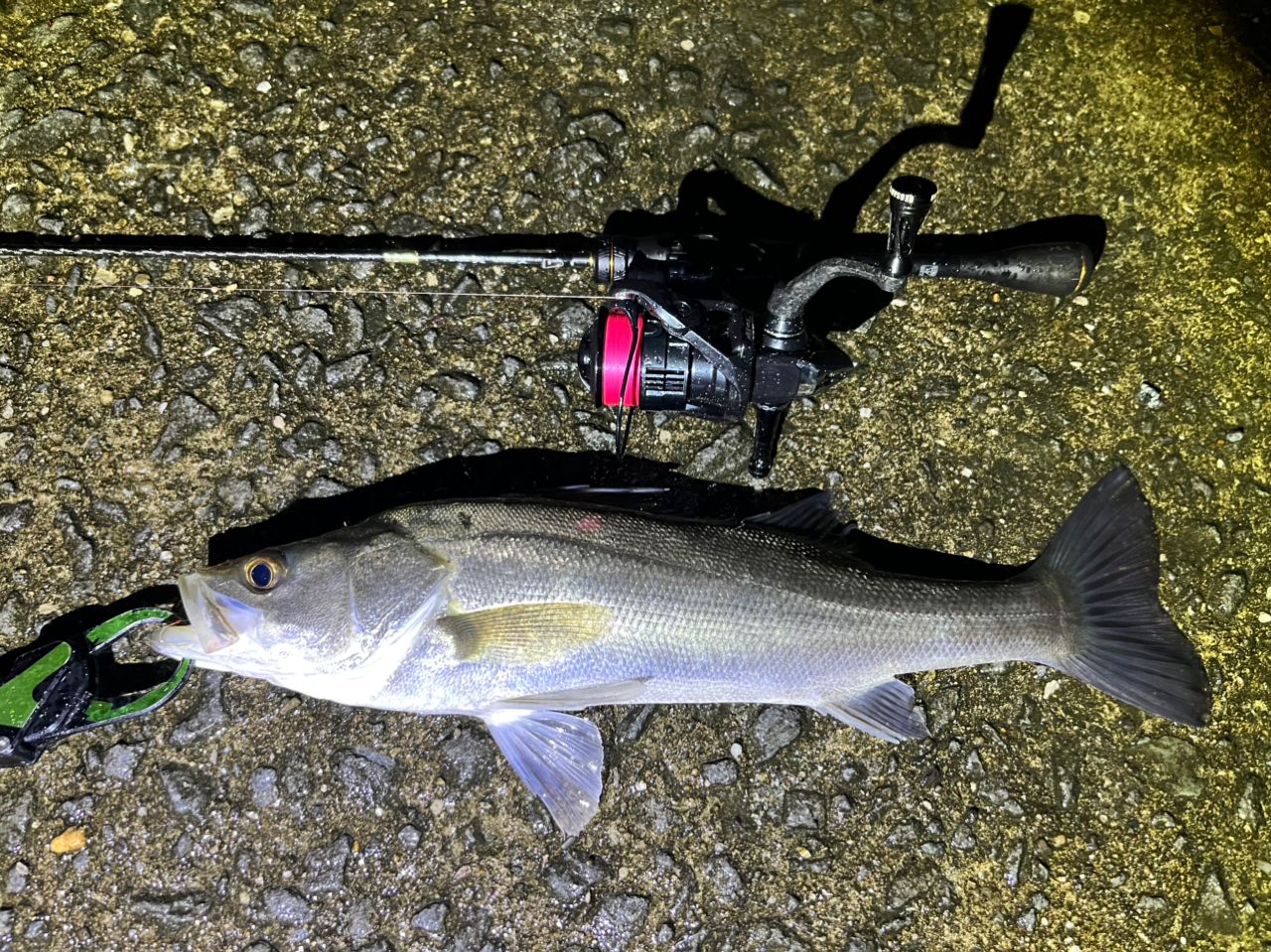 SHIMANO 21ソアレXR S54SUL-Sの最安値・インプレ・釣果 | 本音の口コミ