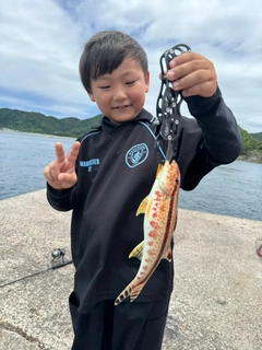 ヒメジの釣果