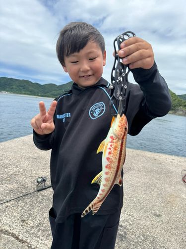ヒメジの釣果