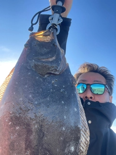 ヒラメの釣果