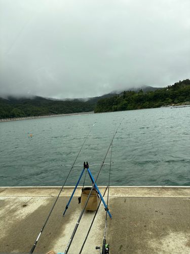 釣果