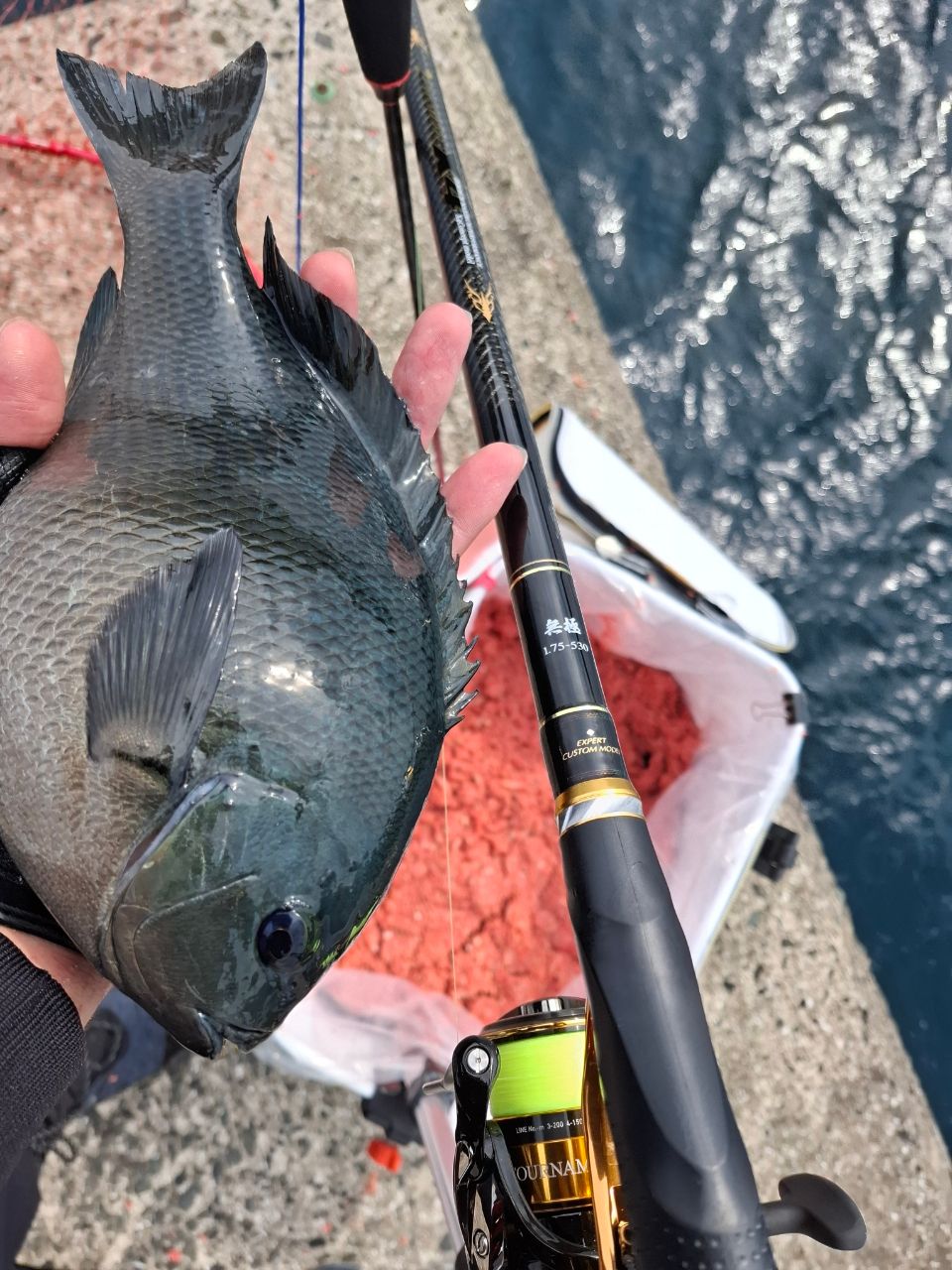 DAIWA 22トーナメント ISO LBD 3000XH-LBDの最安値・インプレ・釣果