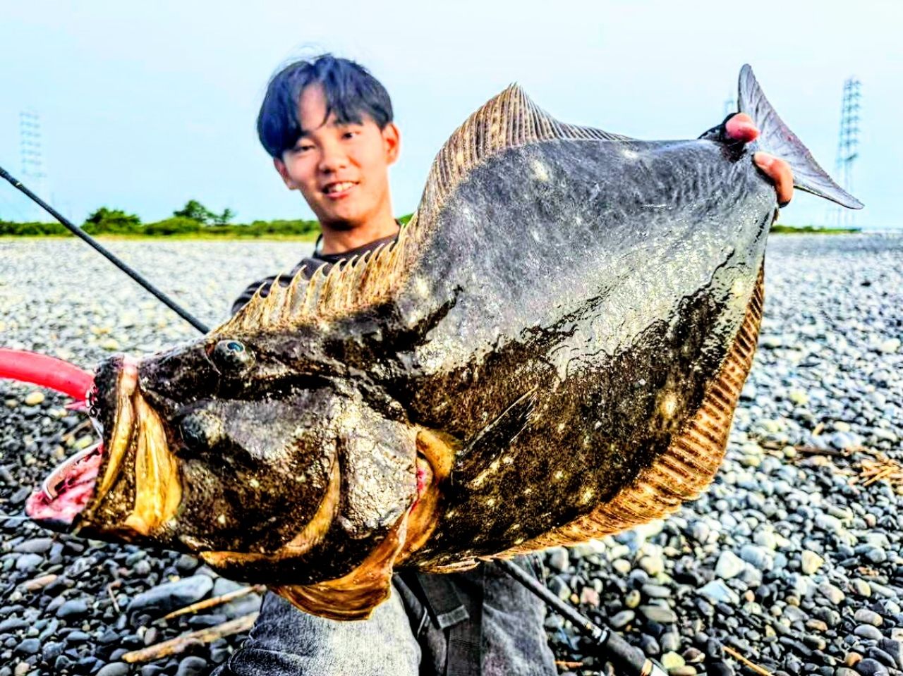 DAIWA 23レグザ LT4000-CXHの最安値・インプレ・釣果 | 本音の口コミが
