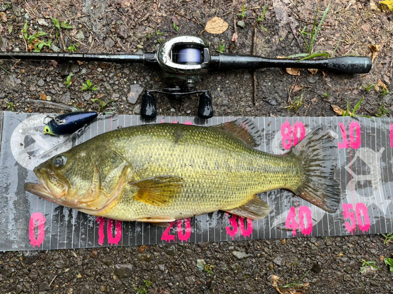 SHIMANO 21ポイズングロリアス 170Hの最安値・インプレ・釣果 | 本音の