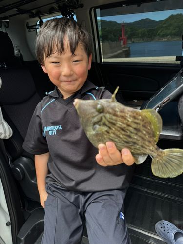 カワハギの釣果