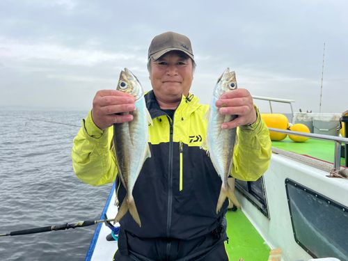 マアジの釣果
