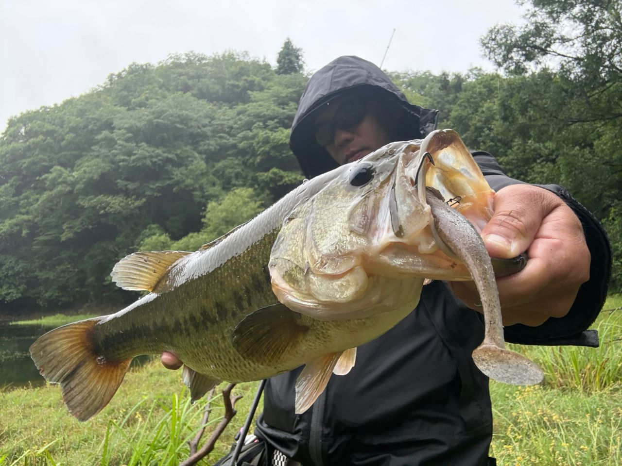 Sabo. さんの 2026年06月07日のブラックバスの釣り・釣果情報(和歌山県