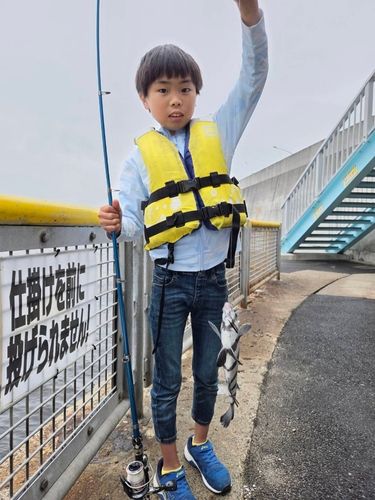 サンバソウの釣果