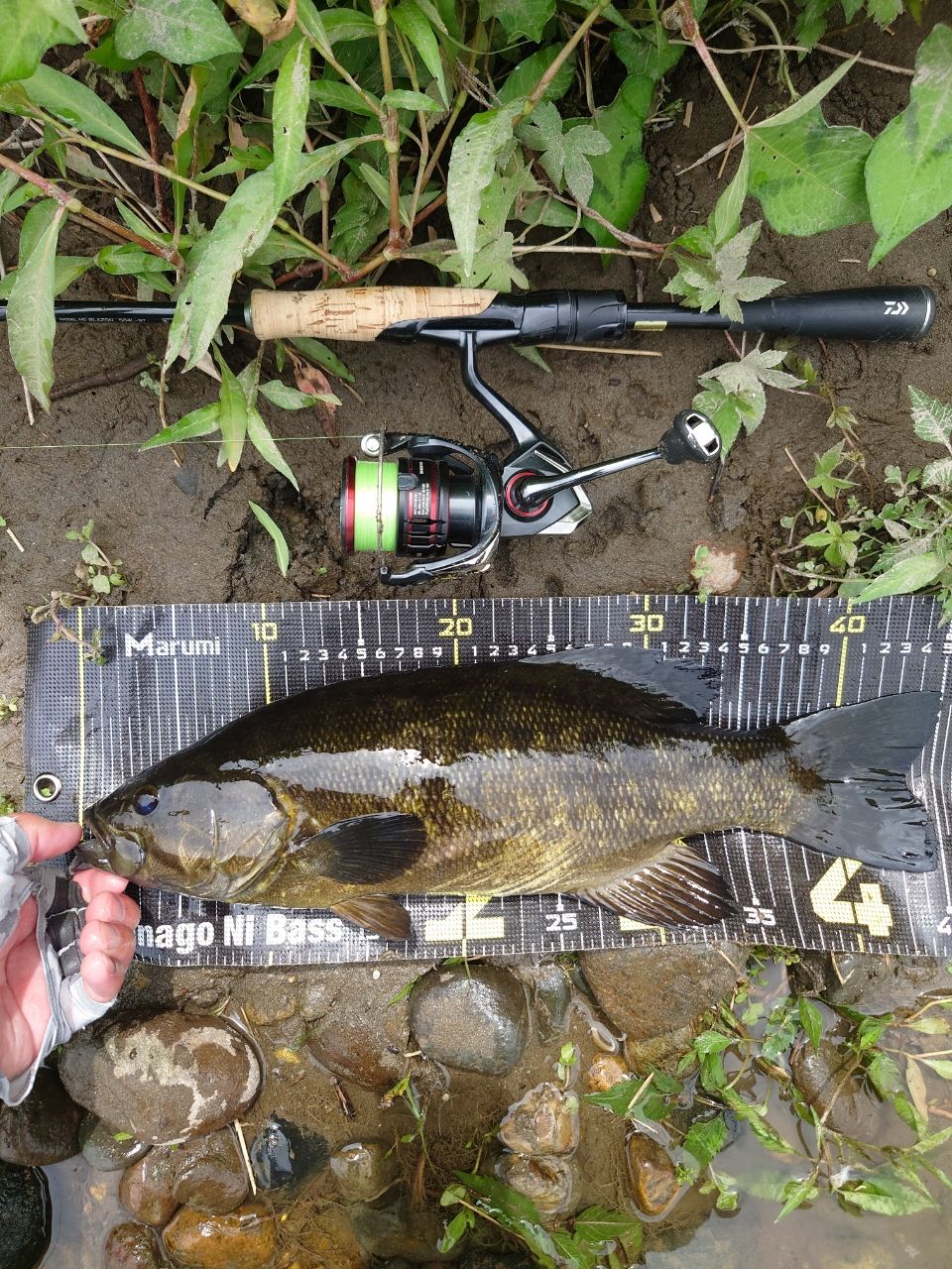 DAIWA 21ブレイゾン S64L-STの最安値・インプレ・釣果 | 本音の口コミ