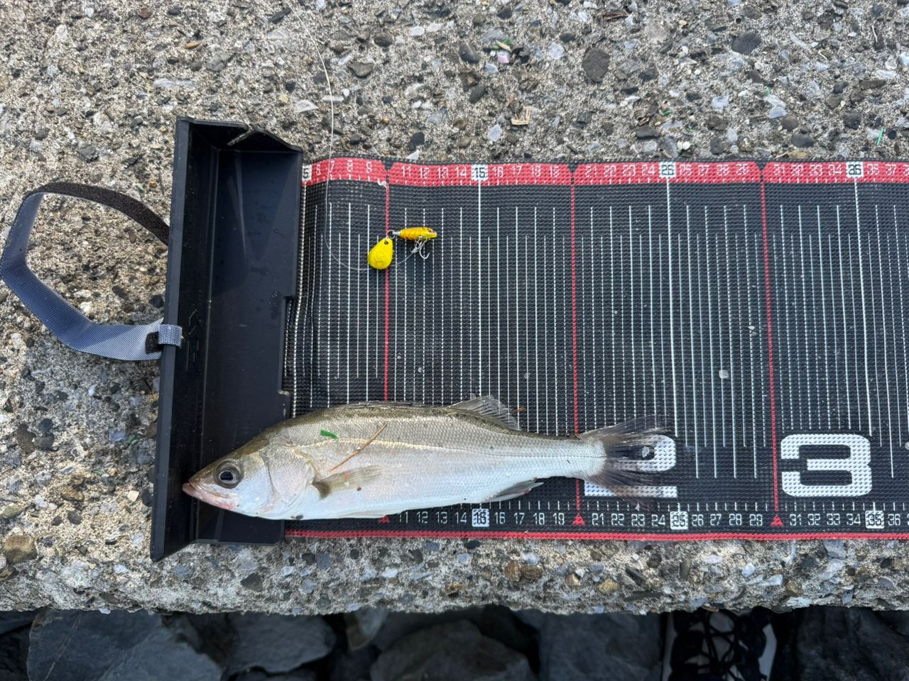 SHIMANO 22ステラ 3000MHGの最安値・インプレ・釣果 | 本音の口コミが