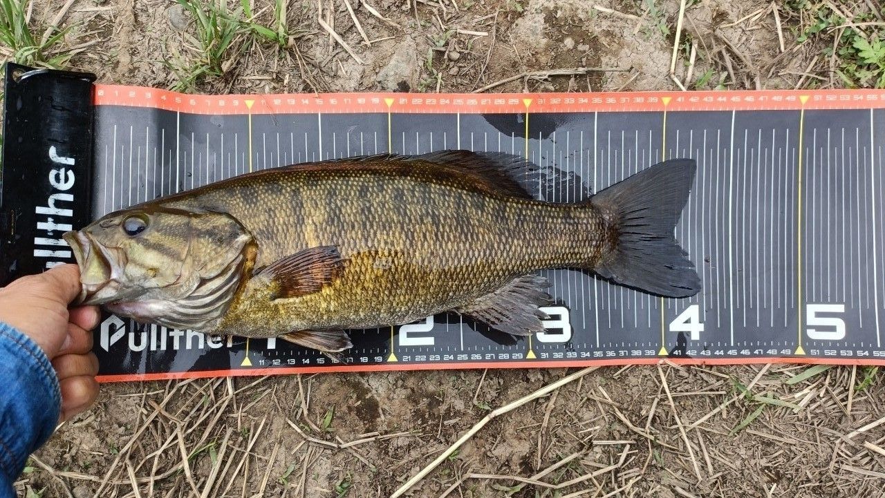 DAIWA 18ハートランド 722MRB-20の最安値・インプレ・釣果 | 本音の