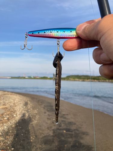 釣果