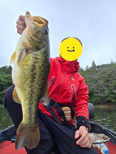 アングラー9301242 さんの 2026年06月07日のブラックバスの釣り・釣果