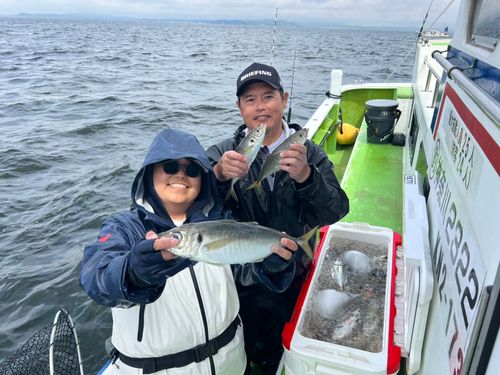 マアジの釣果
