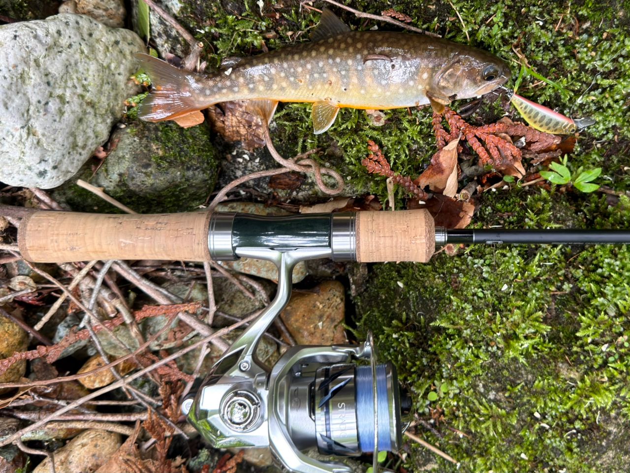 SHIMANO 24トラウトワン NS S47UL-4の最安値・インプレ・釣果 | 本音の