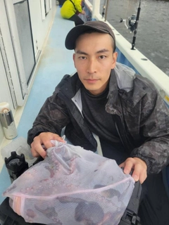 タコの釣果