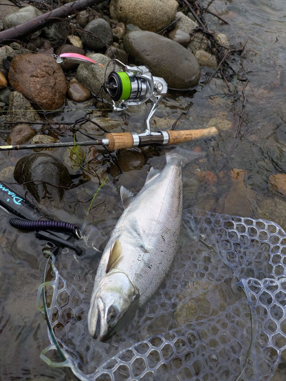 SHIMANO 17トラウトワン NS S53ULの最安値・インプレ・釣果 | 本音の