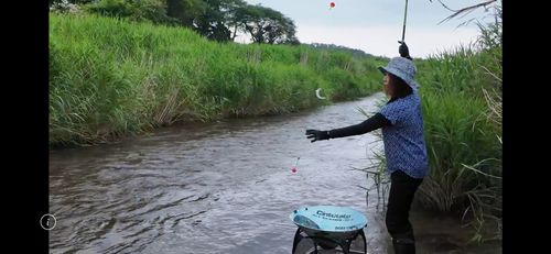 コアユの釣果