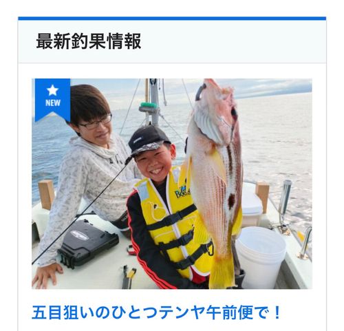 ヨコスジフエダイの釣果