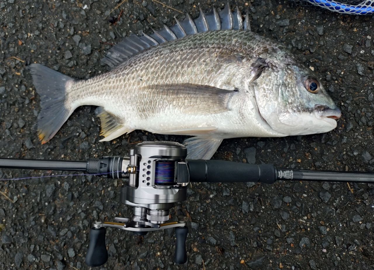 SHIMANO 23カルカッタコンクエスト BFS XG LEFTの最安値・インプレ