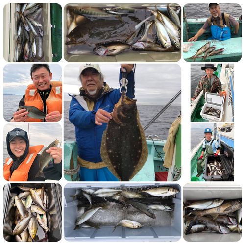 ヒラメの釣果