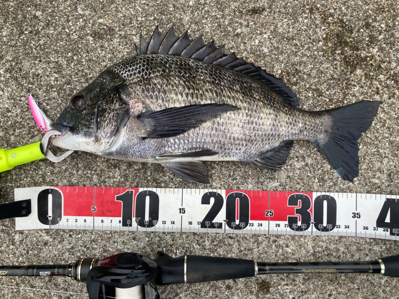 AbuGarcia クロスフィールド XRFC-704M-MBの最安値・インプレ・釣果