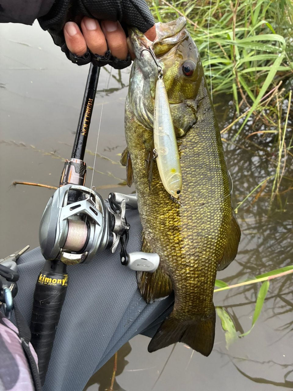 DAIWA 20リベリオン（センターカット2ピース スピニングモデル