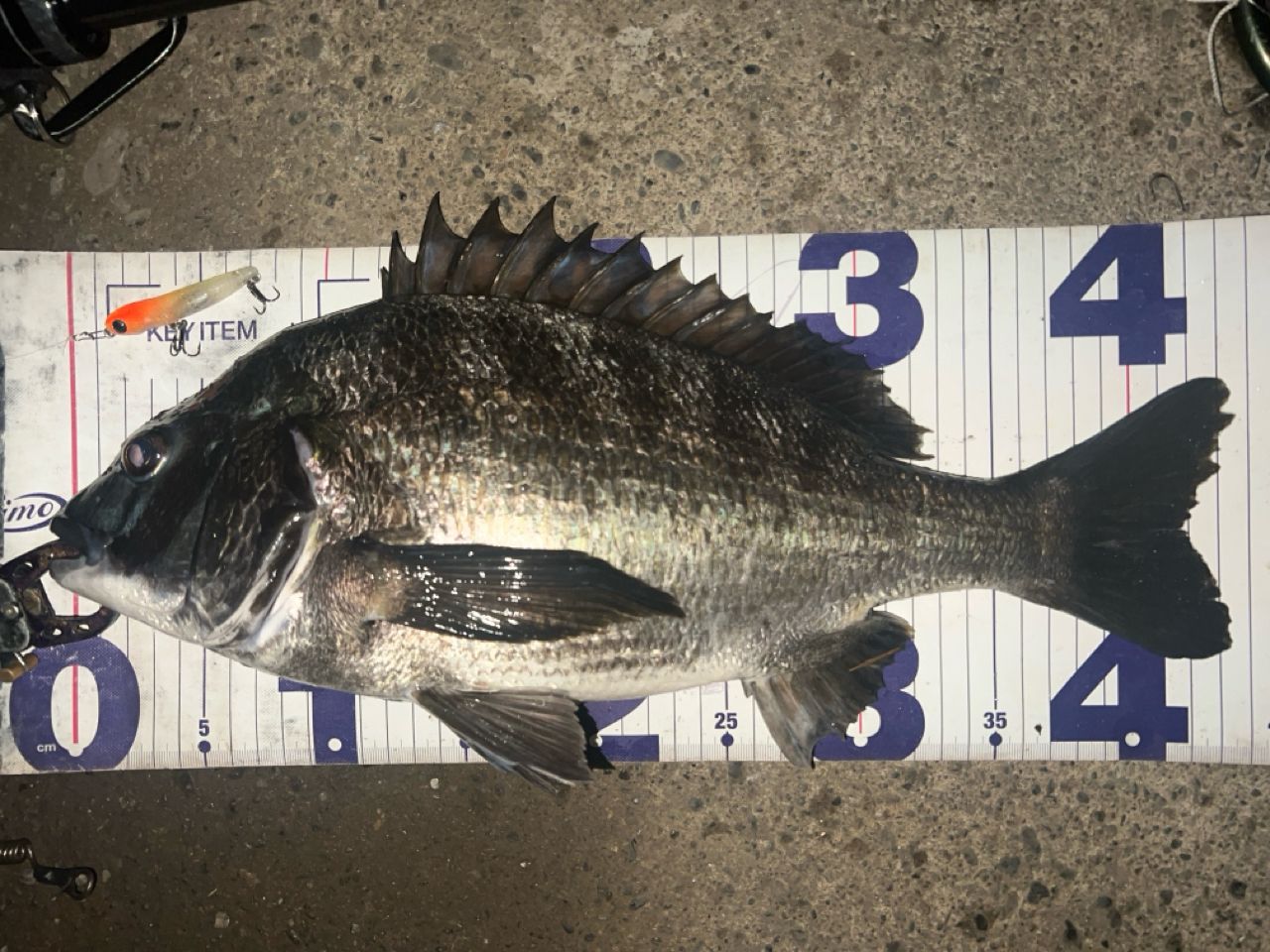 SHIMANO 19ヴァンキッシュ 4000XGの最安値・インプレ・釣果 | 本音の