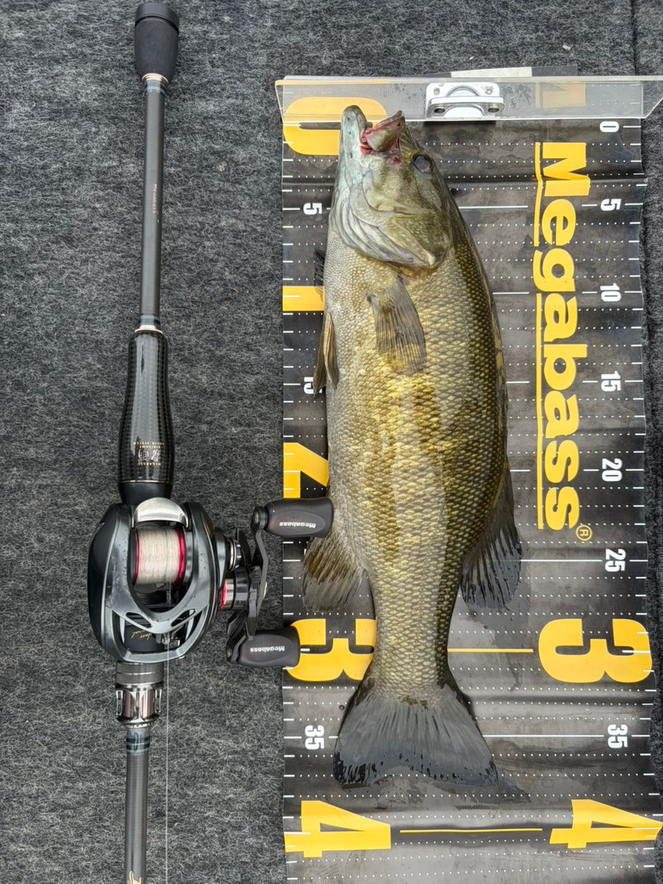 DAIWA 20スティーズ AIR TW 500Hの最安値・インプレ・釣果 | 本音の