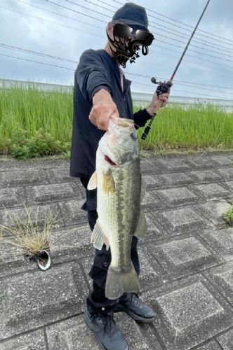 アングラーズ[ANGLERS] - 釣果や口コミで探せる魚釣り情報サイト