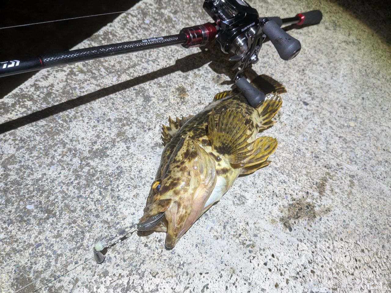 DAIWA 21HRF® (ハードロックフィッシュ) エア 610ML/MB・Nの最安値