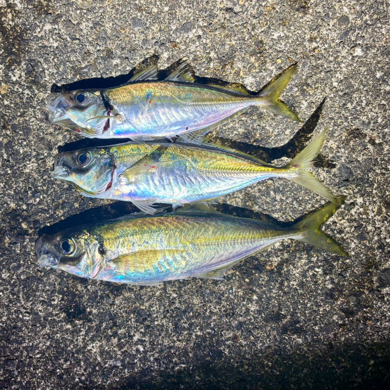 SHIMANO 22ソアレ SS アジング S54SUL-Sの最安値・インプレ・釣果