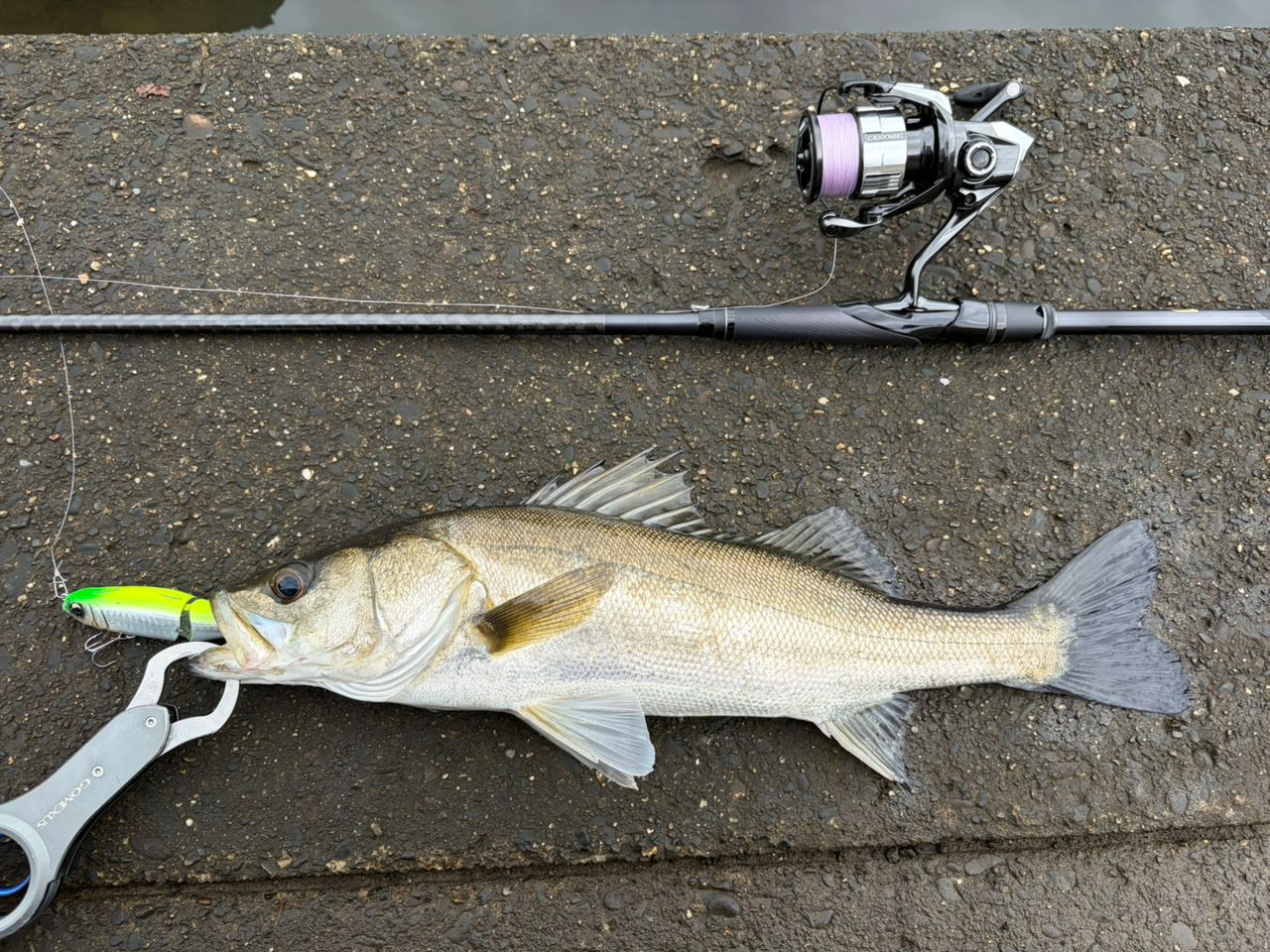 SHIMANO 22エクスセンス ∞ (インフィニティ) S96MLの最安値・インプレ