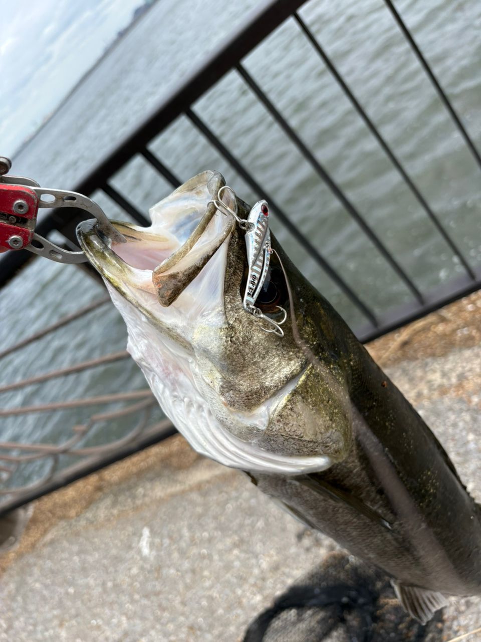 DAIWA 19ラテオ R 106Mの最安値・インプレ・釣果 | 本音の口コミが