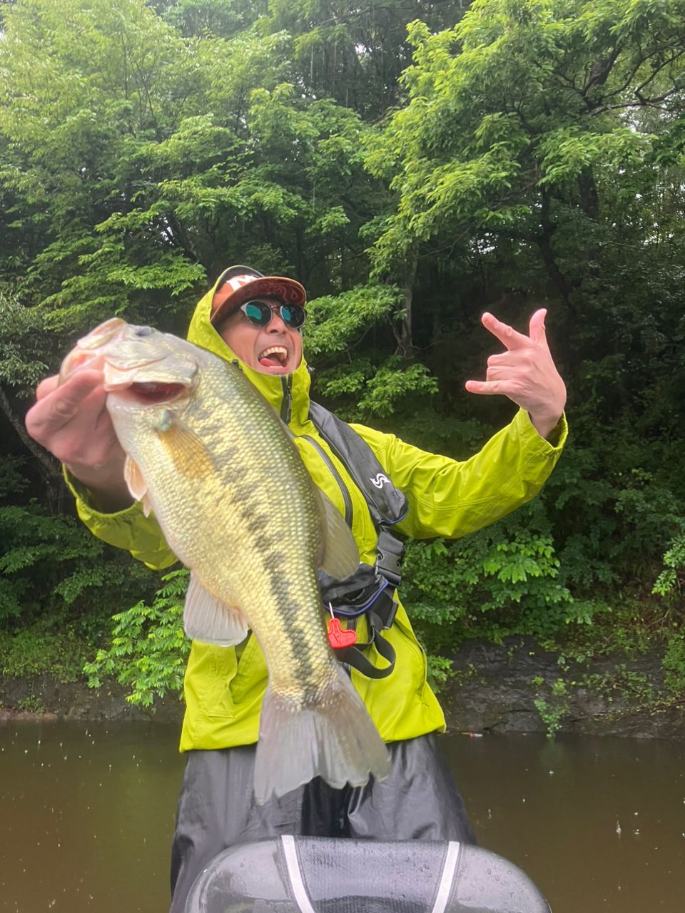 ブラックバスの釣果写真