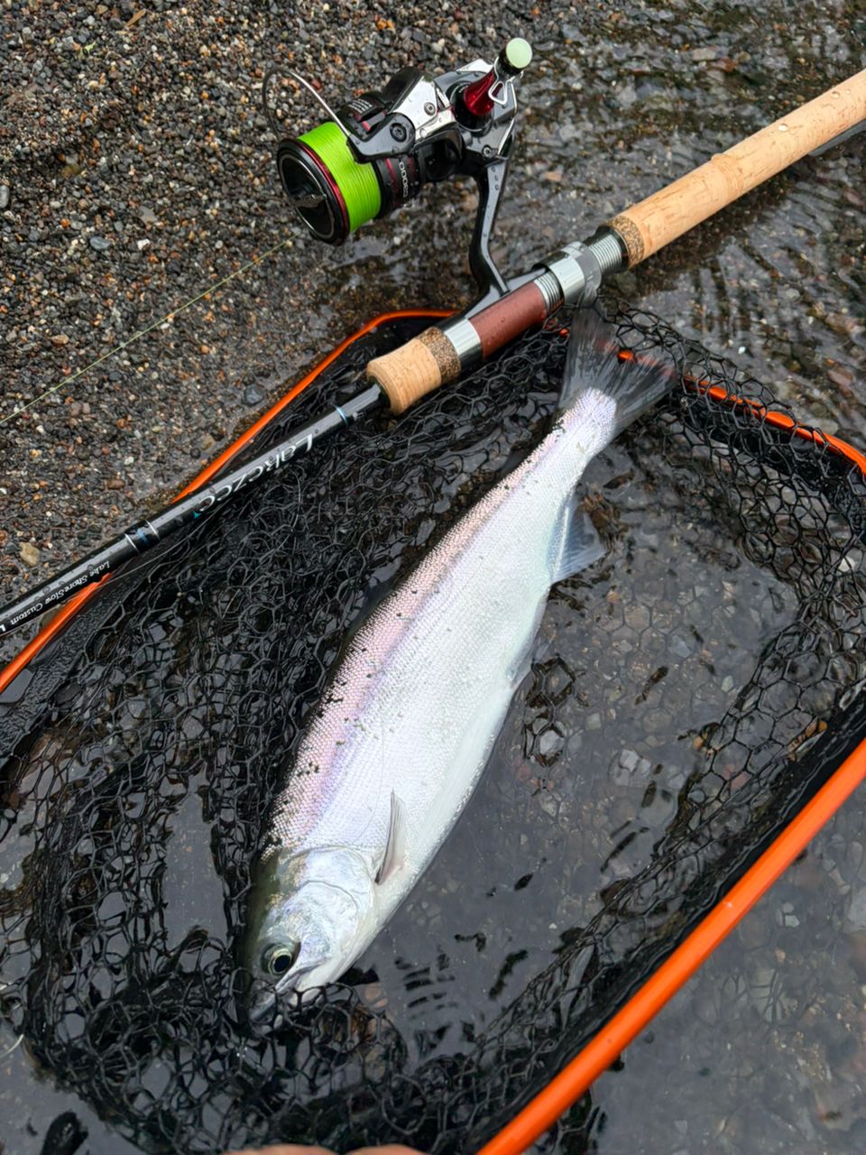 SHIMANO 20ヴァンフォード C3000の最安値・インプレ・釣果 | 本音の