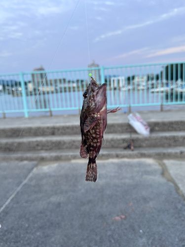 釣果