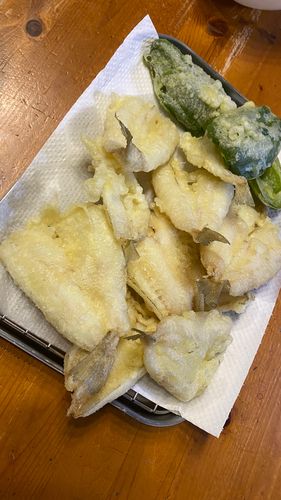 キスの釣果