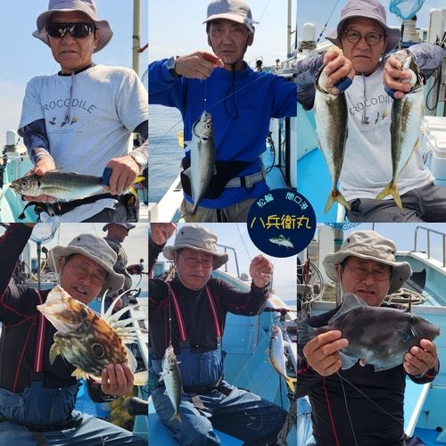 マアジの釣果